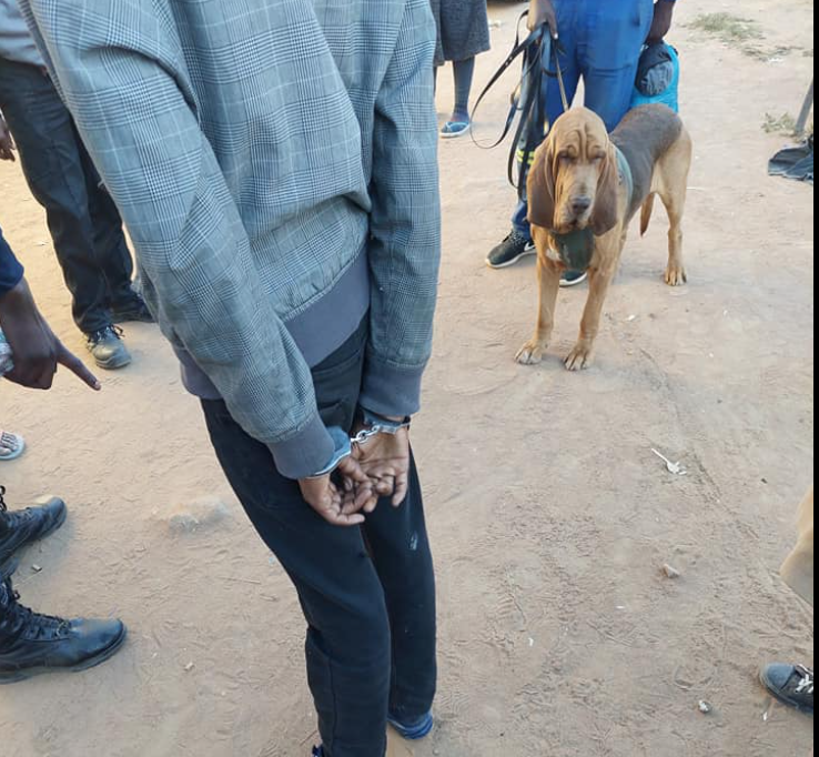 Multiple Break-ins Block 7