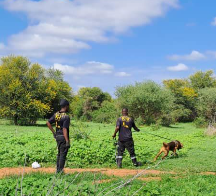 Missing Person Search